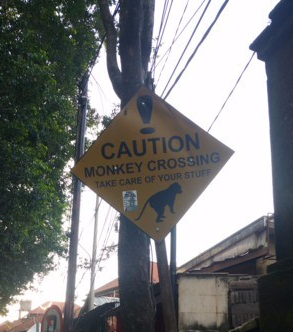 caution