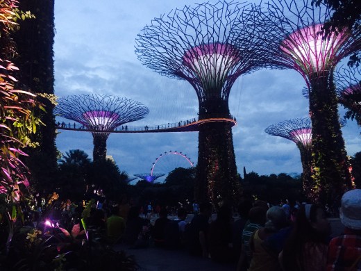 FullSizeRender (1).jpg