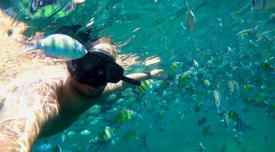 2017-10-31 14.10.58.jpg