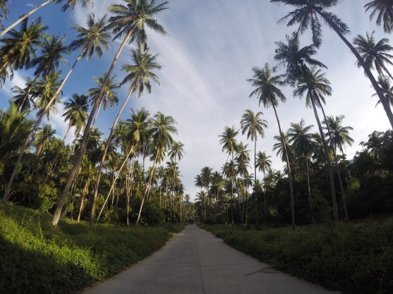 DCIM100GOPROGOPR6827.